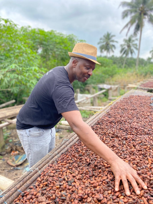 Cocoa beans drying on raised racks in the sun in Ghana